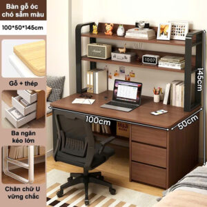 Bàn Học Tập, Bàn Làm Việc, Bàn Máy Tính Kết Hợp Kệ Sách Lớn Và Tủ Sách Hiện Đại